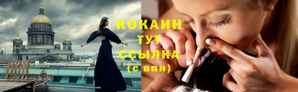 стаф Богородицк