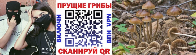 MEGA как зайти  сколько стоит  Сызрань  Галлюциногенные грибы мицелий 